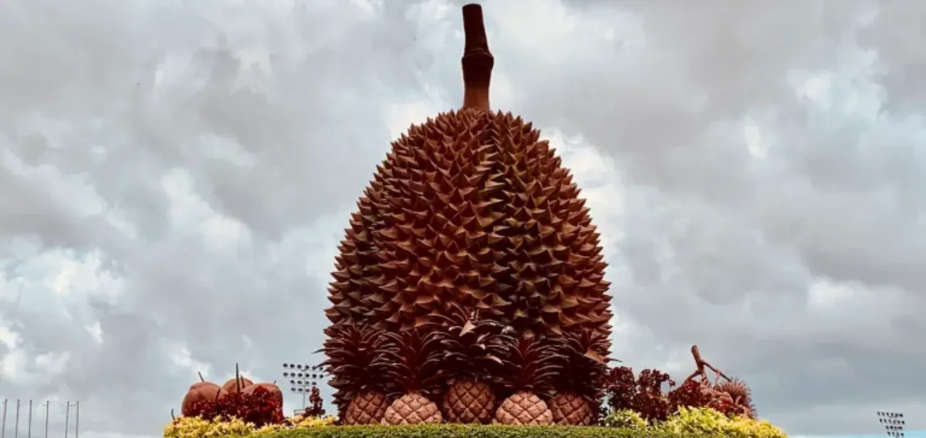 The Durian Roundabout in Kampot town centre - the sculptural durian in the centre, a tuk-tuk passing through, shophouses around the perimeter
